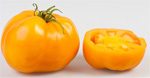 Tomate Golden Sunray - 20 Sementes - Frete Grátis