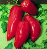 Sementes de Tomate Linguisa Polonês - 20 Sementes - Frete Grátis